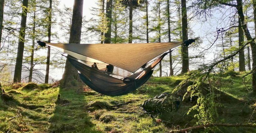 Ein Hängemattenzelt hängt zwischen Bäumen im Wald