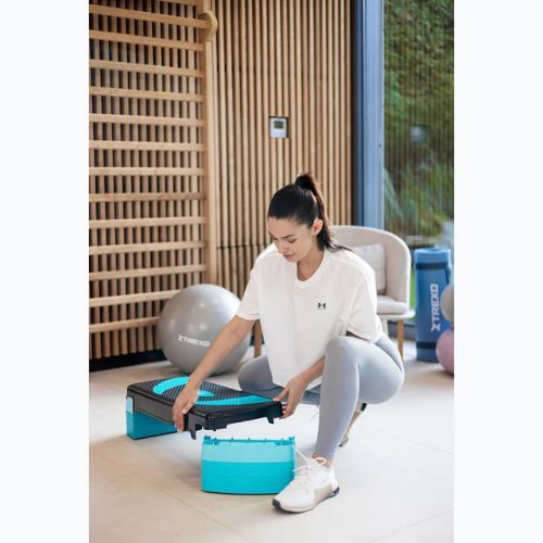 XTREXO Aerobic Stepper TXO-B4W009 blau