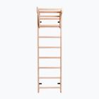 BenchK Bronze-Gymnastikleiter BK-111