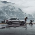 Hängebox Thule Santu black 5