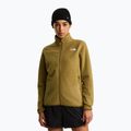 Damenpullover The North Face Glacier Fleece