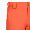 Herren-Skihose Columbia Bugaboo V Zing 11