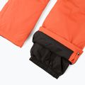 Herren-Skihose Columbia Bugaboo V Zing 13