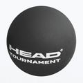 Squashball HEAD Tournament Squash Ball schwarz 2