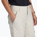 Snowboardhose Damen DC Nonchalant silver lining 5