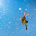 Alpinski Black Crows Mirus Cor orange 10