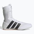Boxschuhe adidas Box Hog Classic white 2