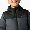 Gefütterte Kinderjacke REGATTA Lofthouse black/seal grey 10