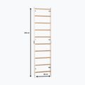 Turnleiter RINAGYM SPR H white 4