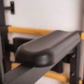 BenchK Gymnastikleiter schwarz BK-732B 21