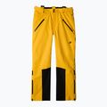 Skihose Herren 4F