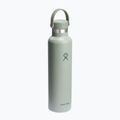 Thermosflasche Hydro Flask Standard Flex Cap 710 ml agave 2