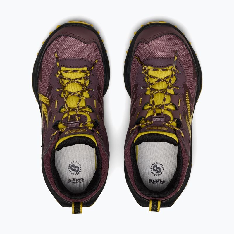 Kinder-Trekkingschuhe KEEN Zionic Mid Wp huckleberry/mango mint 12