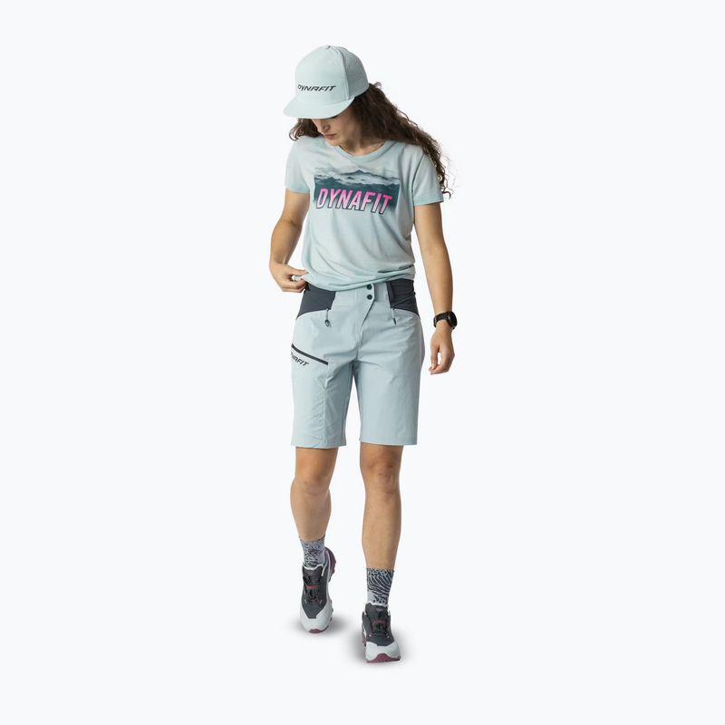 Basecap DYNAFIT Transalper Trucker cloud blue/0720 7