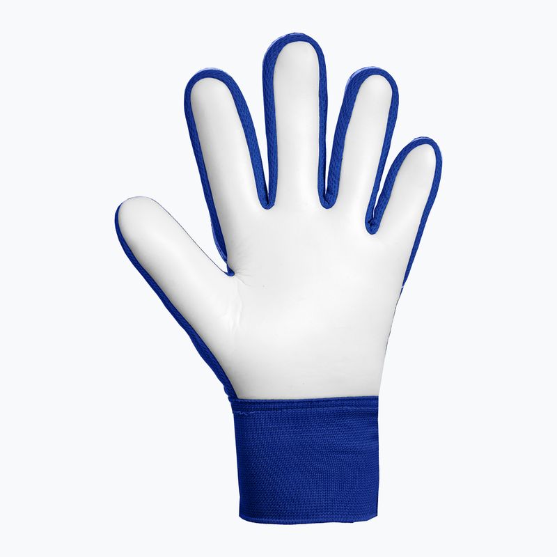 Kinder-Torwarthandschuhe Reusch Attrakt Starter Solid Junior sharp blue/white/shocking orange 3