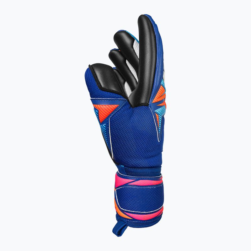 Torwarthandschuhe Reusch Attrakt Infinity Evolution NC sharp blue/shocking orange/black 4