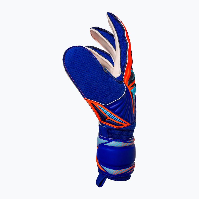 Torwarthandschuhe Reusch Attrakt Solid sharp blue/shocking orange 4