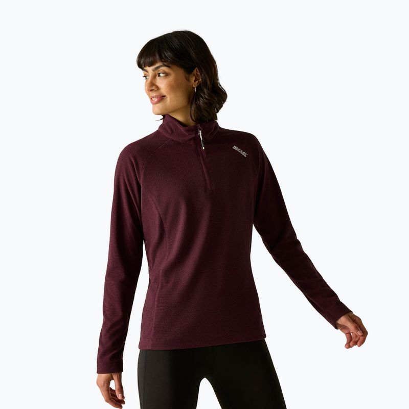 Damenpullover Regatta Montes fig
