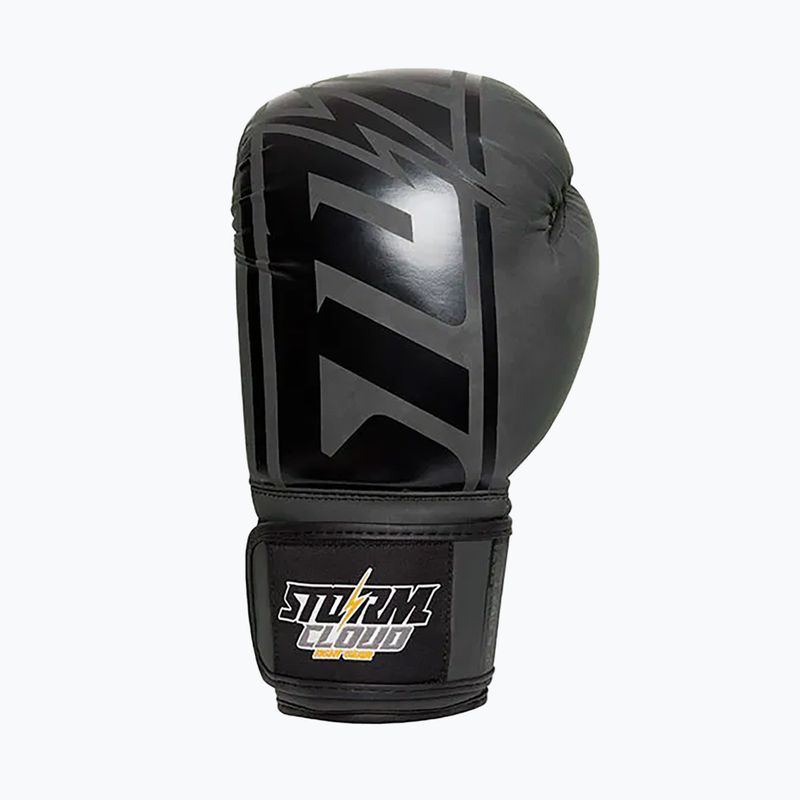 Boxhandschuhe StormCloud Bolt 2 3