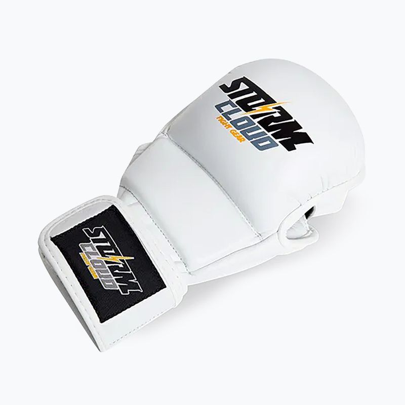 Grappling-Handschuhe StormCloud Hurricane white/black 3