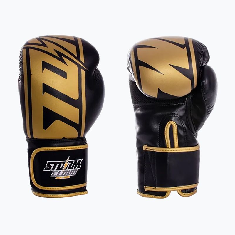 Boxhandschuhe StormCloud Bolt 2