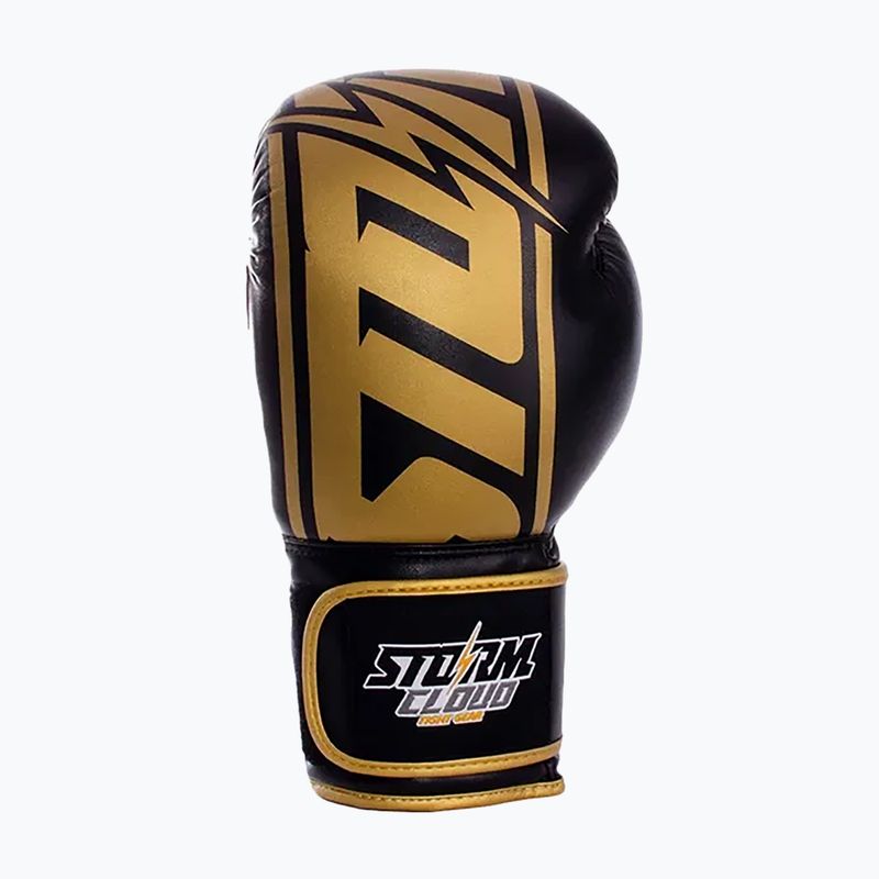 Boxhandschuhe StormCloud Bolt 2 3